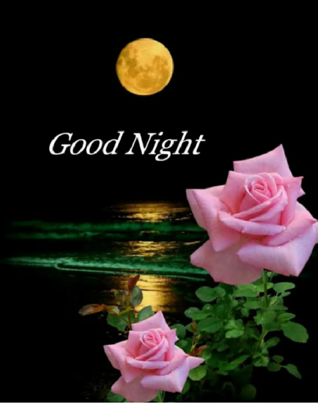 English Good Night by Pravin Gor : 111236970