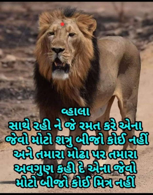 Gujarati Whatsapp-Status by Parmar Narvirsinh : 111237004