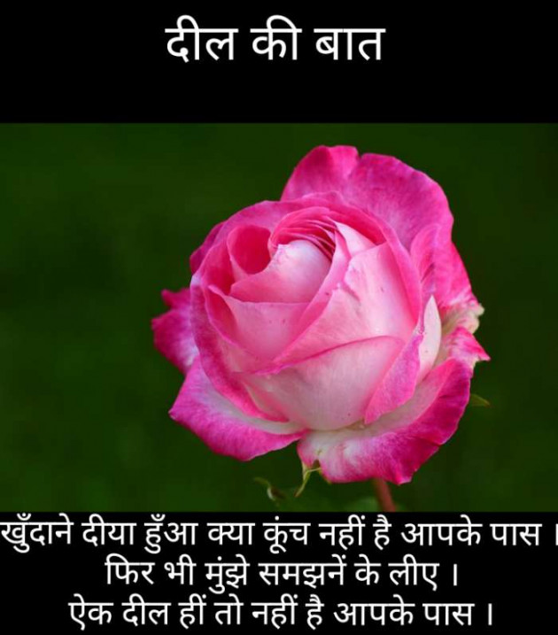 Hindi Blog by Narendra Parmar : 111237197