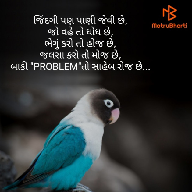 Gujarati Thought by Reena Dhamecha : 111237368