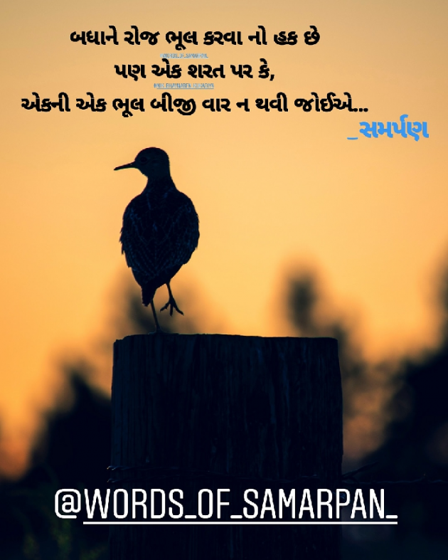 Gujarati Quotes by Nikunj kukadiya samarpan : 111237408