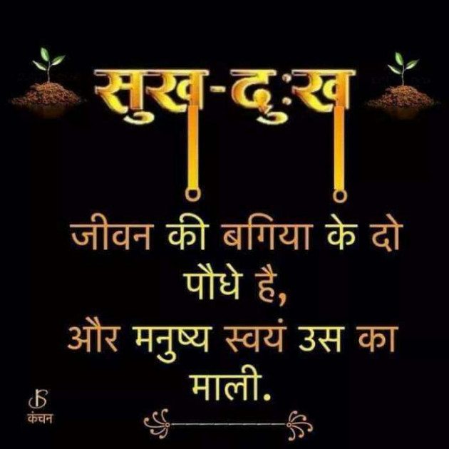 Hindi Quotes by Jassi Albert : 111237630