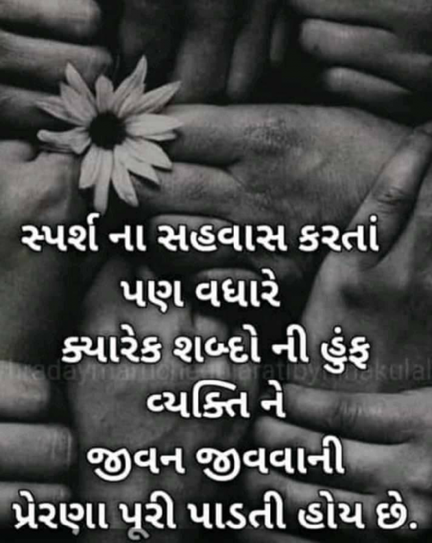 Gujarati Good Night by Krupa : 111238015