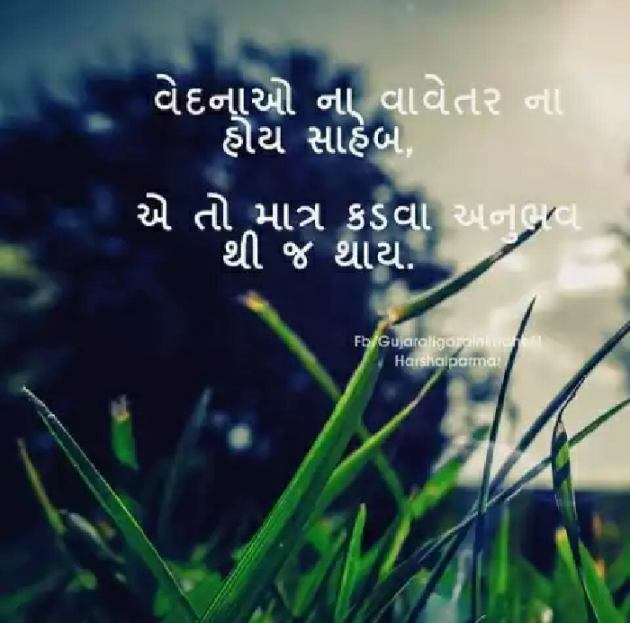Gujarati Quotes by Naresh Parmar : 111238134