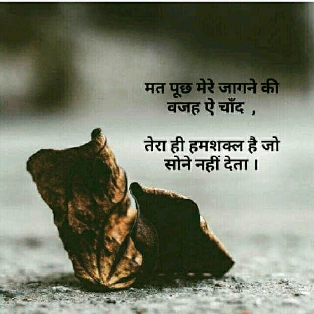 English Whatsapp-Status by Fun LOVER : 111238289