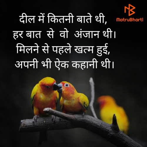 Post by Nilaxi Patel on 18-Aug-2019 03:04pm