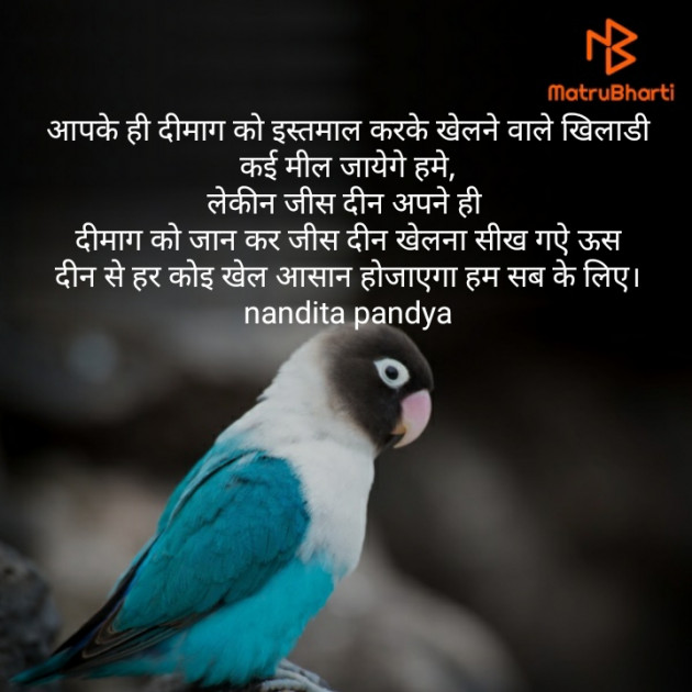 Hindi Motivational by Nandita Pandya : 111238385