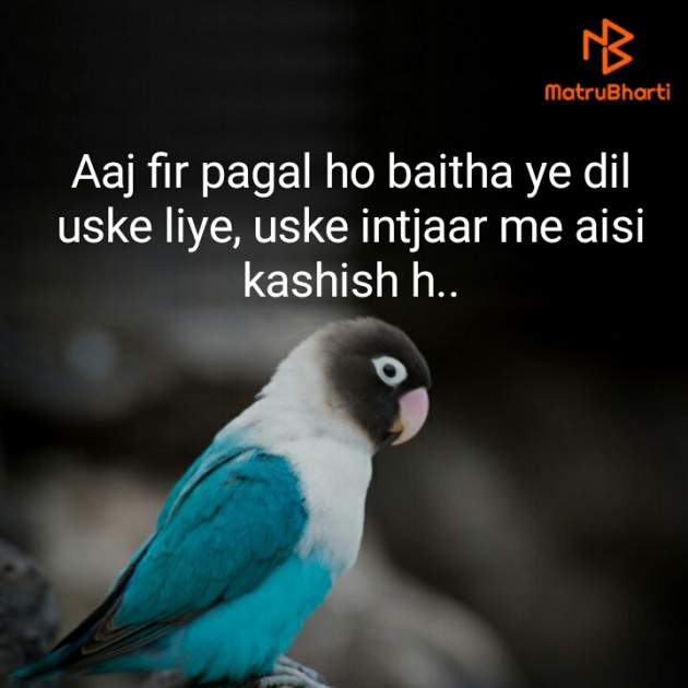 Hindi Blog by Neha : 111239036