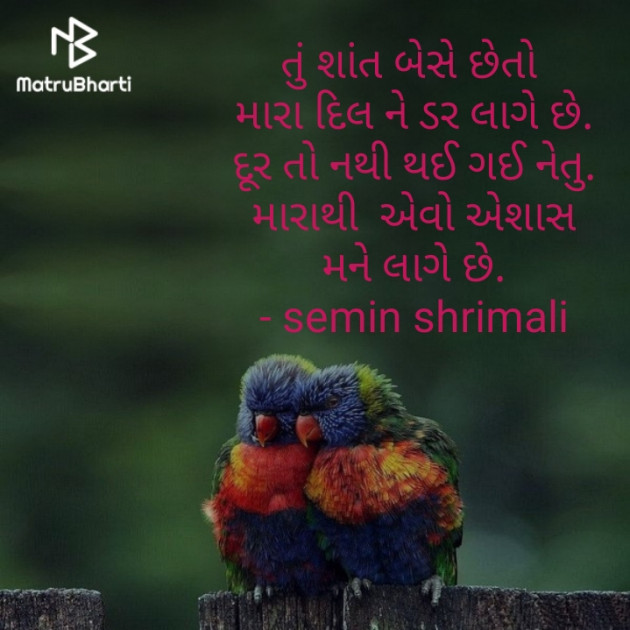 Gujarati Shayri by Semin Shrimali : 111239404