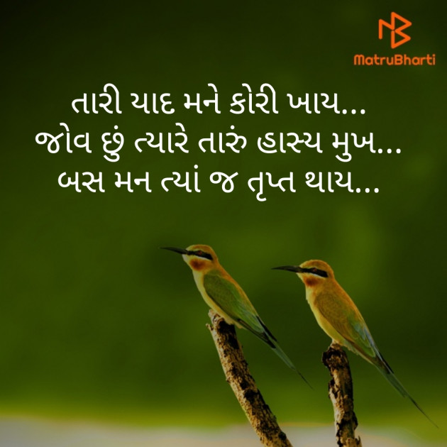 Gujarati Shayri by Nisha Sindha : 111239421