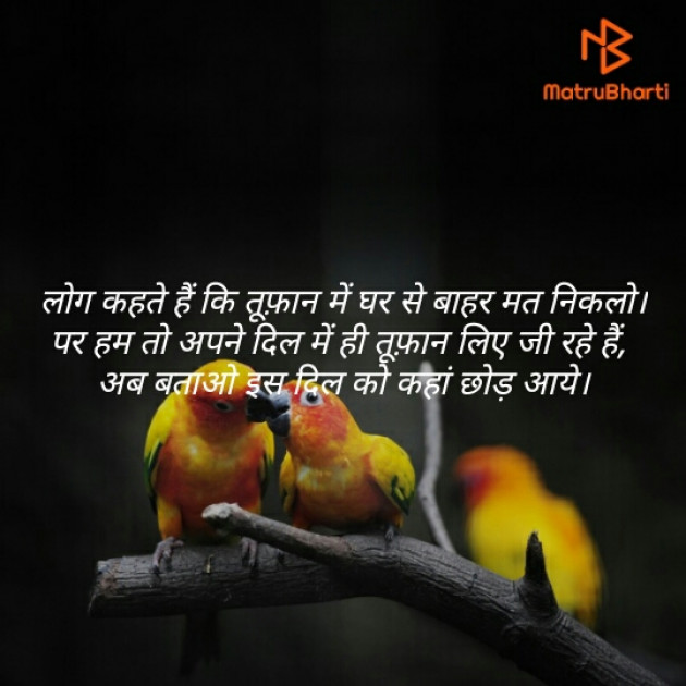 Hindi Shayri by AB. : 111239659