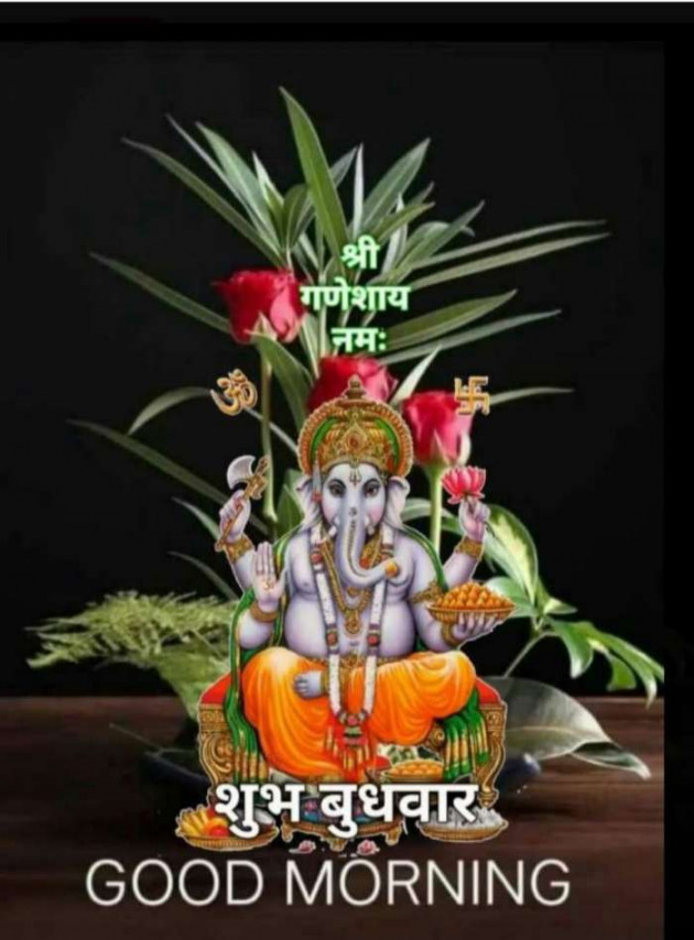 Hindi Quotes by Sawar Mal Patwari : 111239800
