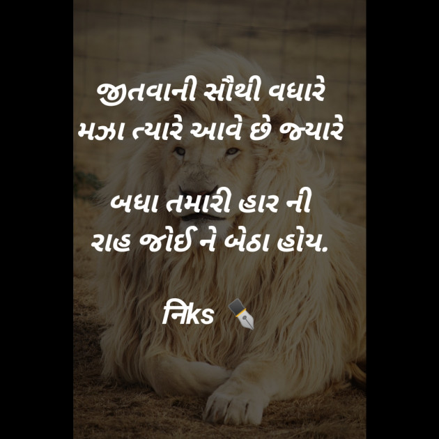 Gujarati Thought by Nikunj Dodiya : 111240180