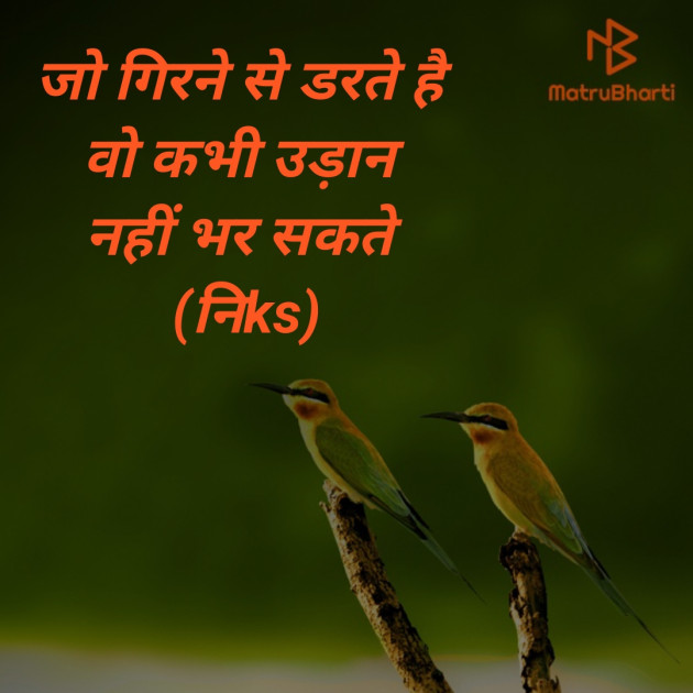 Hindi Quotes by Nikunj Dodiya : 111240613