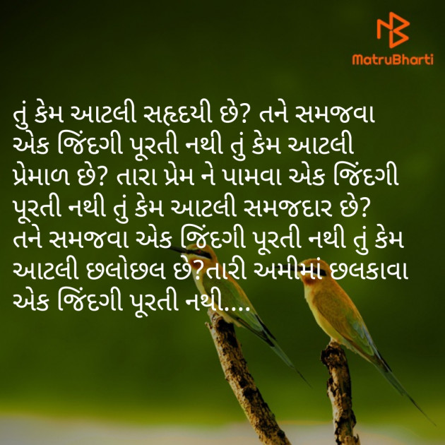 Gujarati Good Evening by Shree...Ripal Vyas : 111240782