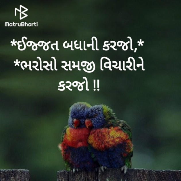 Gujarati Microfiction by Nilay : 111240995