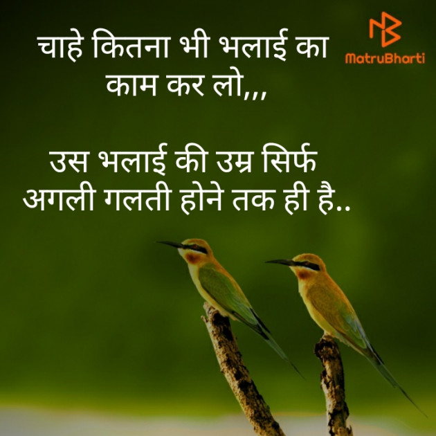 Hindi Whatsapp-Status by Brijesh Shanischara : 111241152