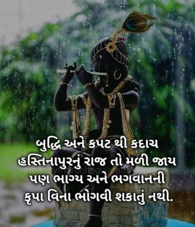 Gujarati Microfiction by Nilay : 111241692