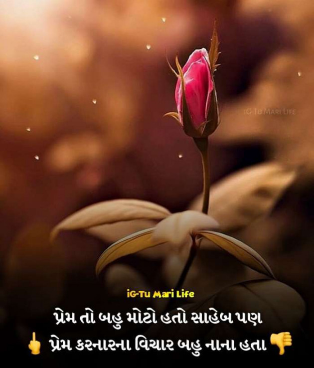 Gujarati Romance by Rahul : 111241832
