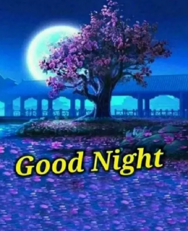 English Good Night by Pravin Gor : 111242497