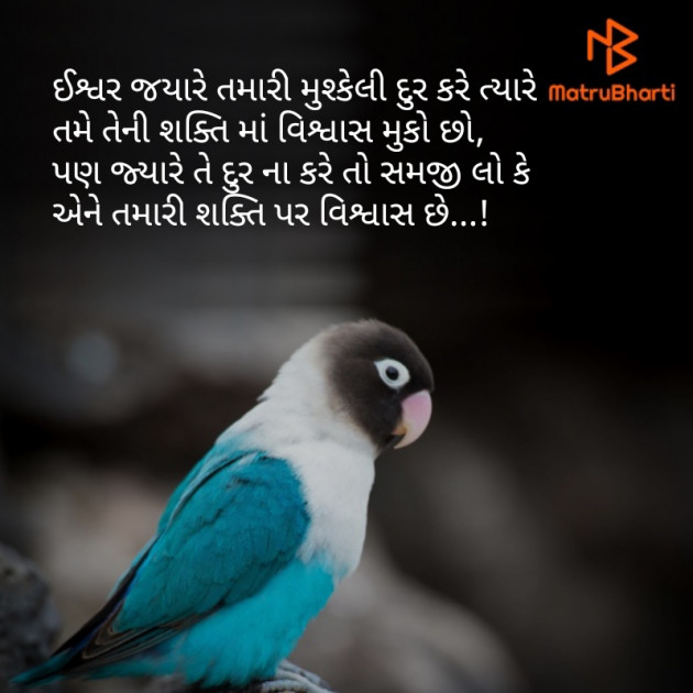 Gujarati Good Morning by Reena Dhamecha : 111242650
