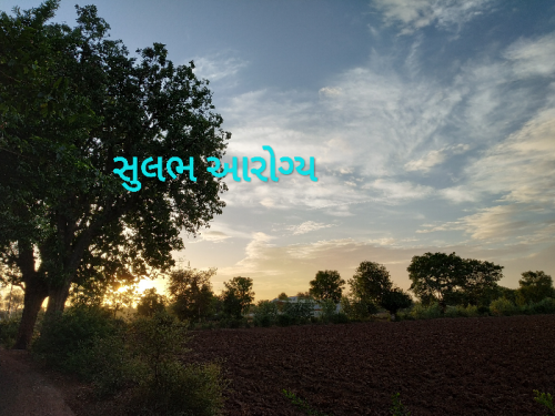 Post by Paresh Rohit on 26-Aug-2019 10:53pm