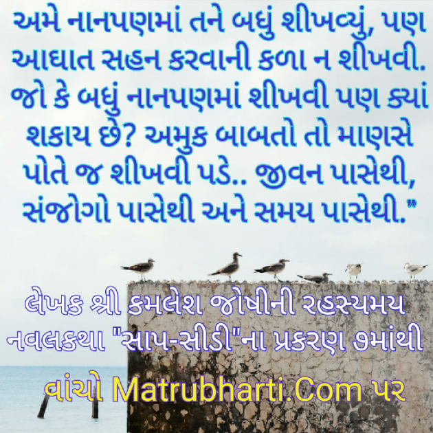 Gujarati Story by Kamlesh K Joshi : 111243024