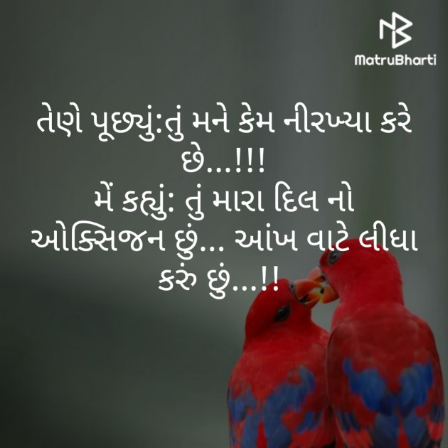 Gujarati Romance by Umang Thakkar : 111243208