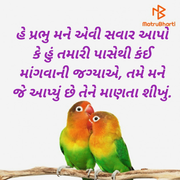 Gujarati Thought by Aswin Hadiya : 111243862