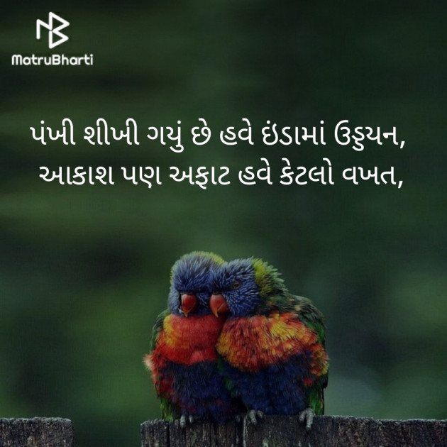 Gujarati Thought by Jignesh Vsv : 111244170
