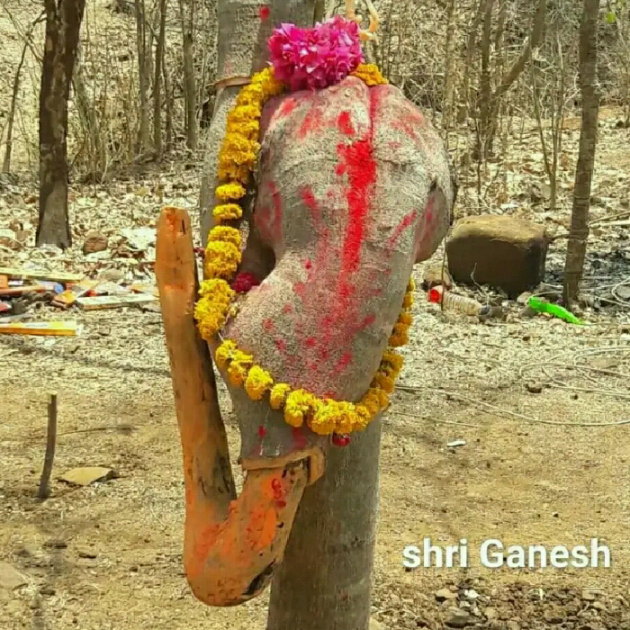 Gujarati Thought by Harshad Patel Pij : 111244198