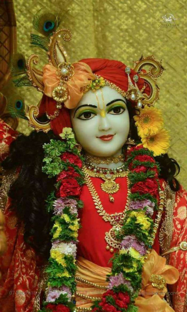 Hindi Quotes by Rudra... : 111244449