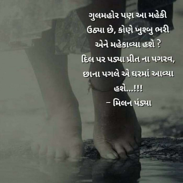 Gujarati Good Night by Vira : 111244908