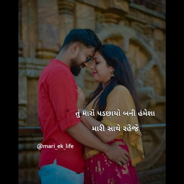 Hindi Whatsapp-Status by Mari Ek Lifel : 111244922