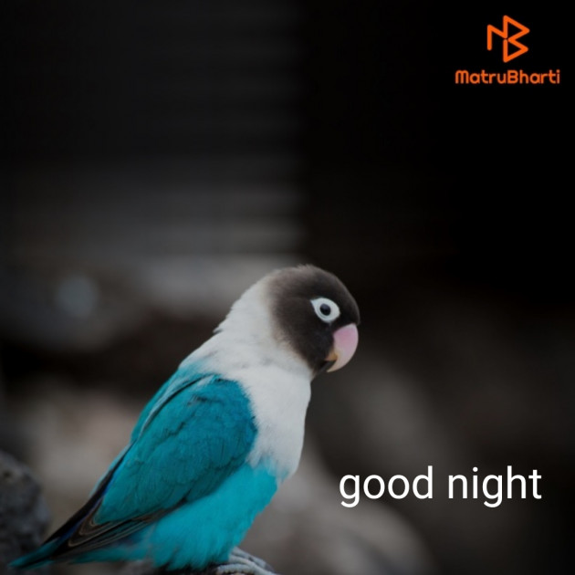 English Good Night by Hmmm : 111245008