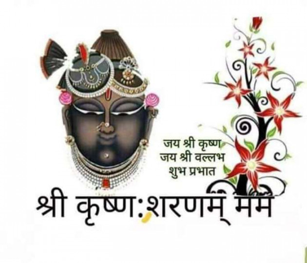 Hindi Quotes by Sawar Mal Patwari : 111245065