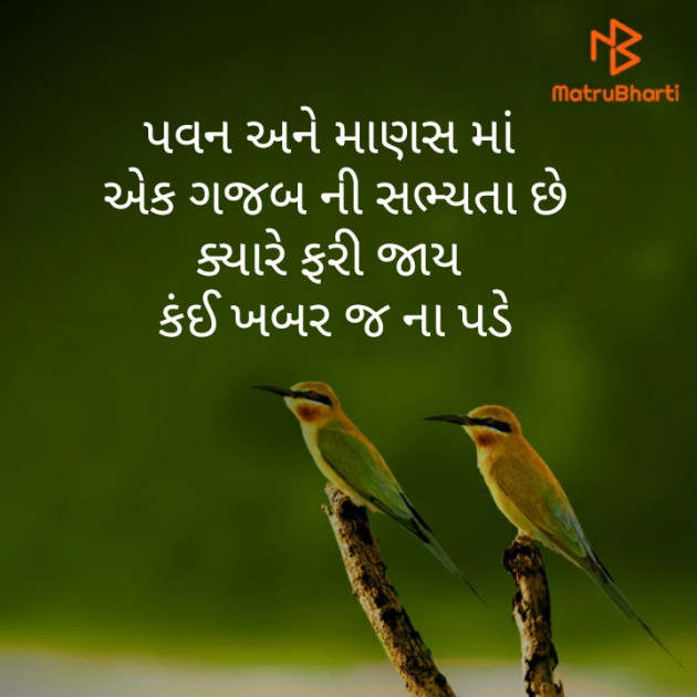 Gujarati Whatsapp-Status by Brijesh Shanischara : 111245220