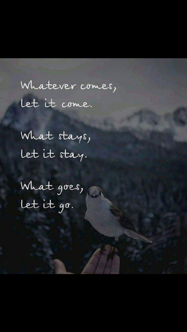 English Quotes by Yogi Forever : 111245368