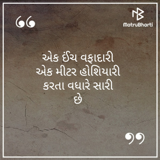 Gujarati Shayri by lucky : 111245383