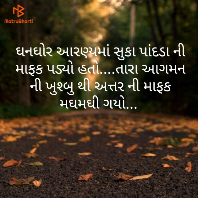 Gujarati Romance by Umang Thakkar : 111245571