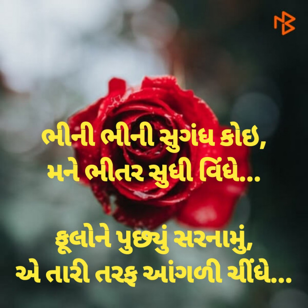 Gujarati Good Night by Dharmesh Vala : 111245681