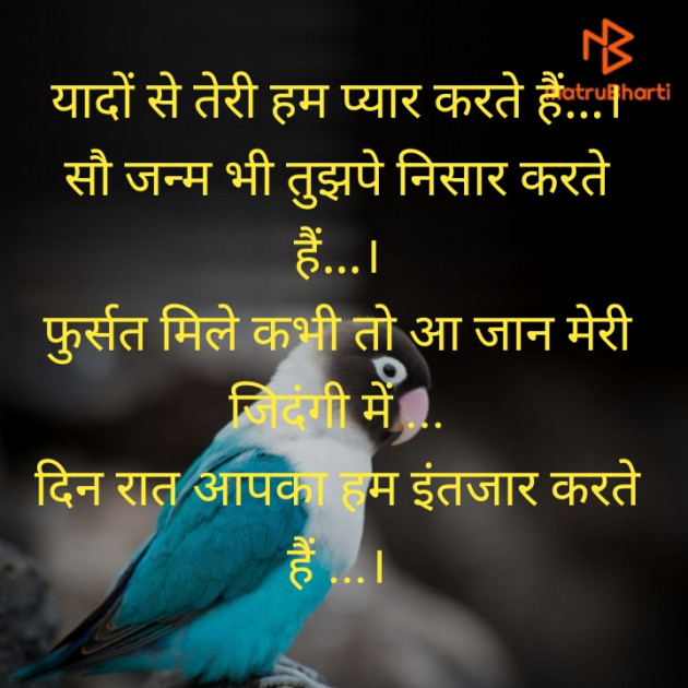Hindi Shayri by Suresh Maurya : 111247144