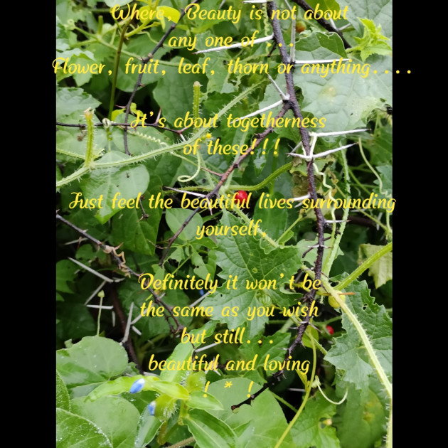 English Quotes by Riddhi Patoliya : 111247472