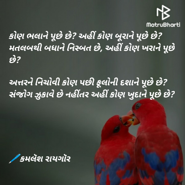 Gujarati Blog by KAMLESH RAYGOR : 111248857