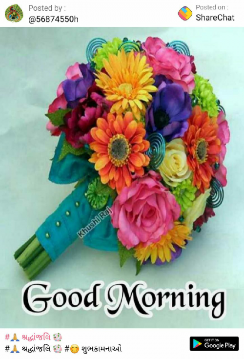 Post by Khushbu Patel on 05-Sep-2019 05:32am