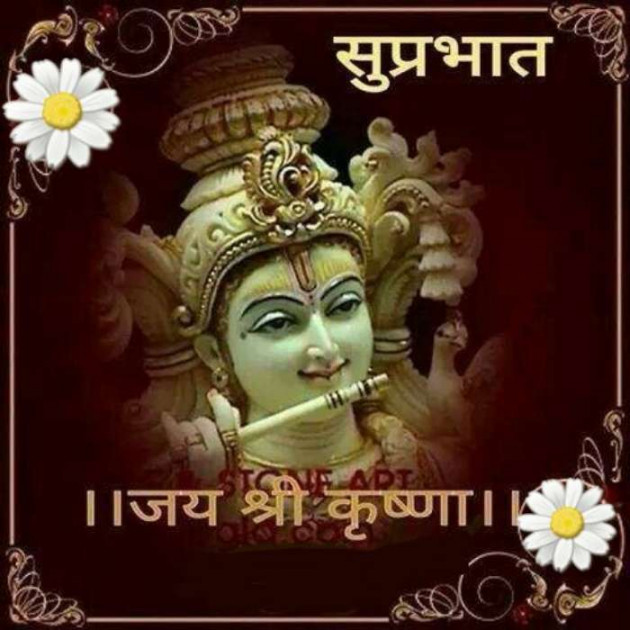 Hindi Quotes by Rudra... : 111249049