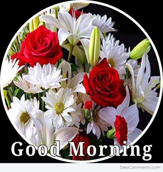 Hindi Good Morning by Vaghela Niya : 111249107