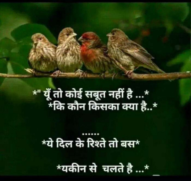 Gujarati Thought by Heema Joshi : 111249839