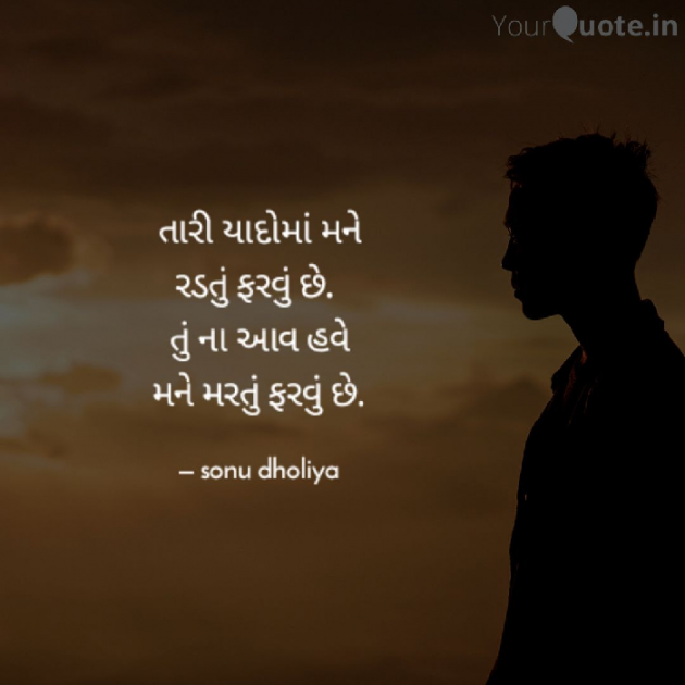 Gujarati Shayri by Sonu dholiya : 111250156