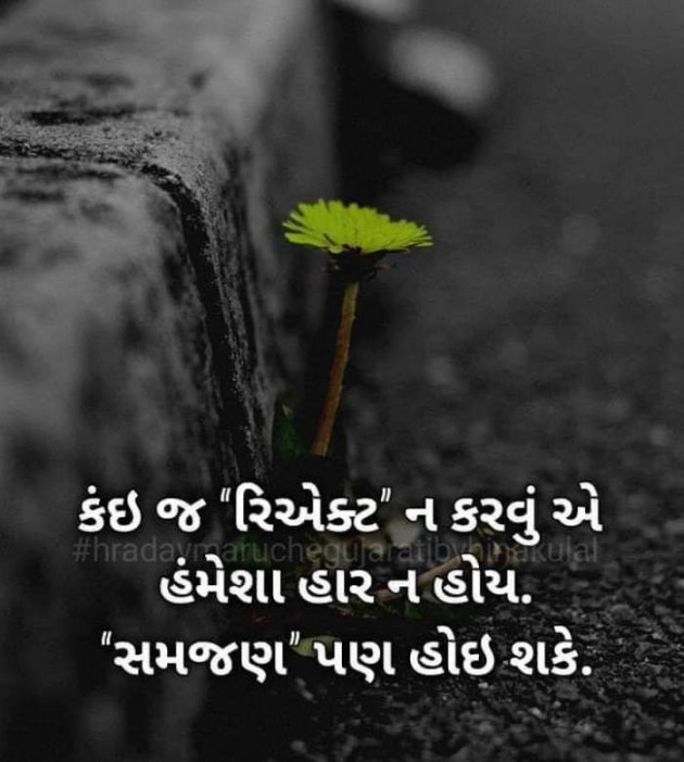 Gujarati Blog by Ritu Thakar : 111250505